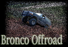 Bronco