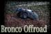 Bronco